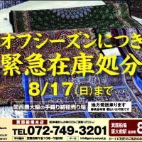 202508sale